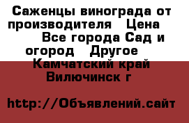 Саженцы винограда от производителя › Цена ­ 800 - Все города Сад и огород » Другое   . Камчатский край,Вилючинск г.
